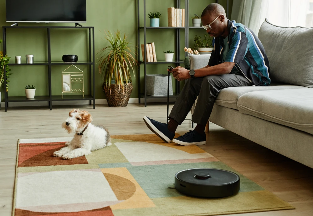 robot vacuum cleaning